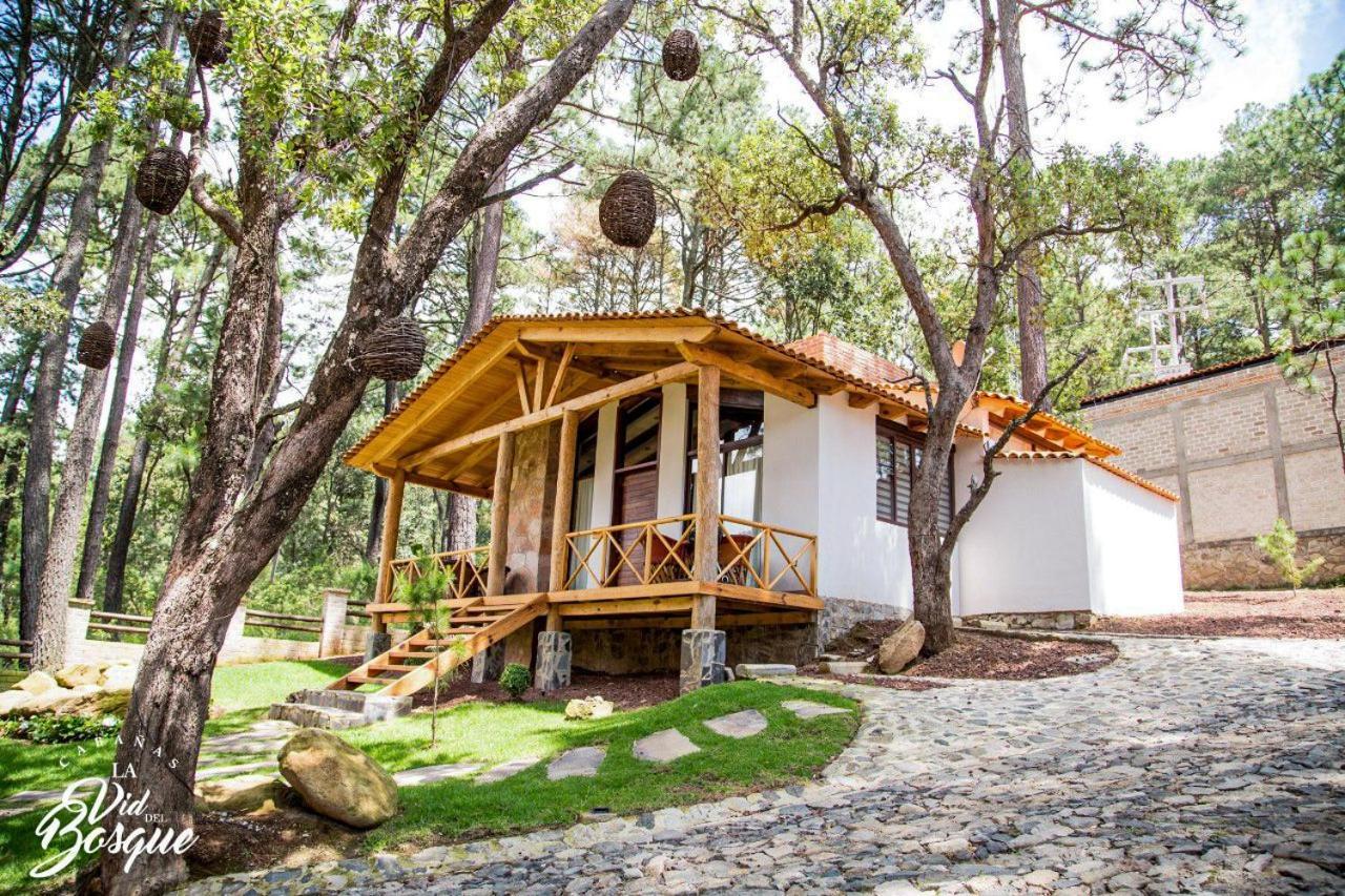 Cabanas La Vid Del Bosque Hotel Tapalpa Exterior foto