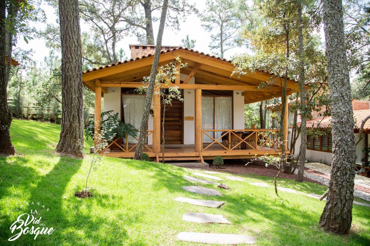 Cabanas La Vid Del Bosque Hotel Tapalpa Exterior foto
