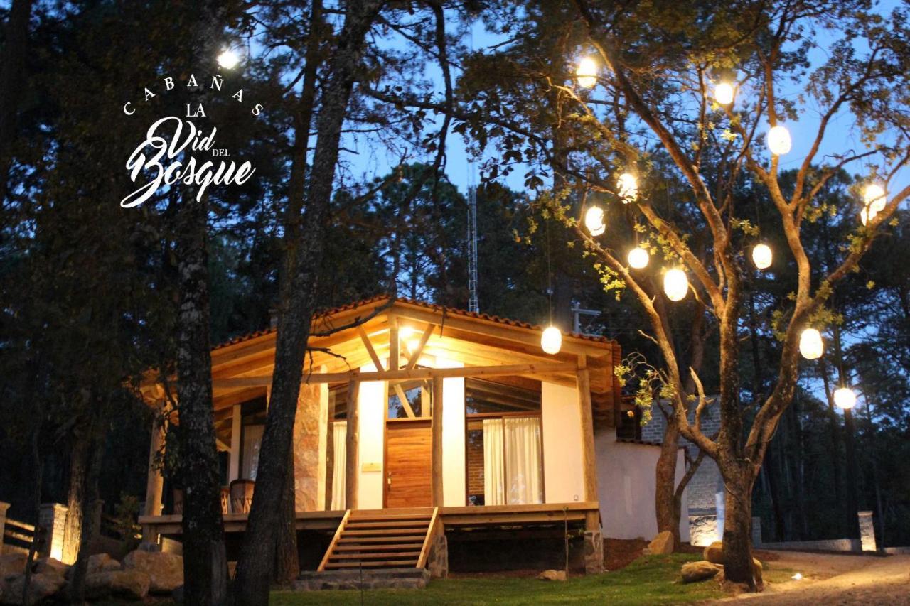 Cabanas La Vid Del Bosque Hotel Tapalpa Exterior foto