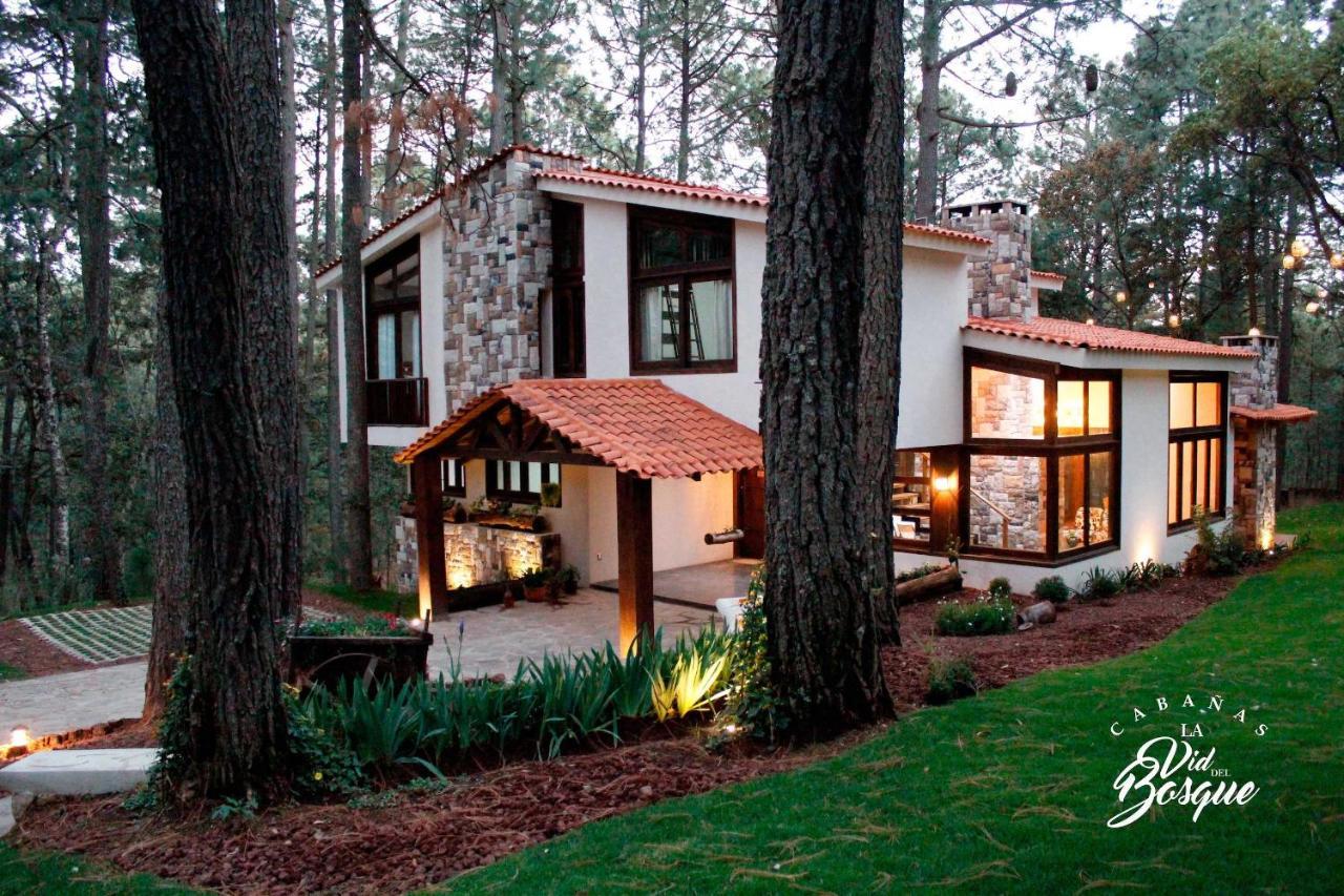 Cabanas La Vid Del Bosque Hotel Tapalpa Exterior foto