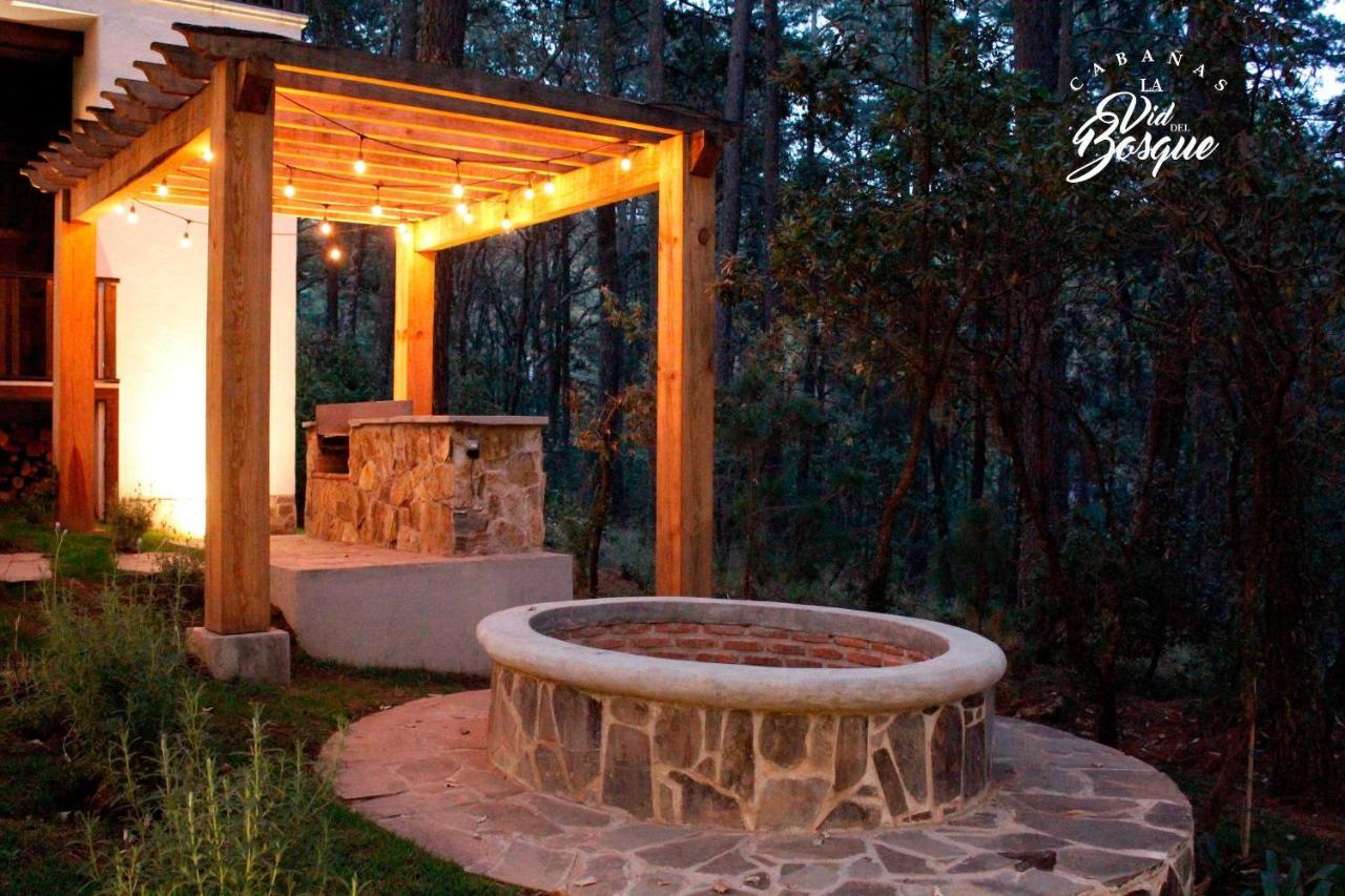 Cabanas La Vid Del Bosque Hotel Tapalpa Exterior foto