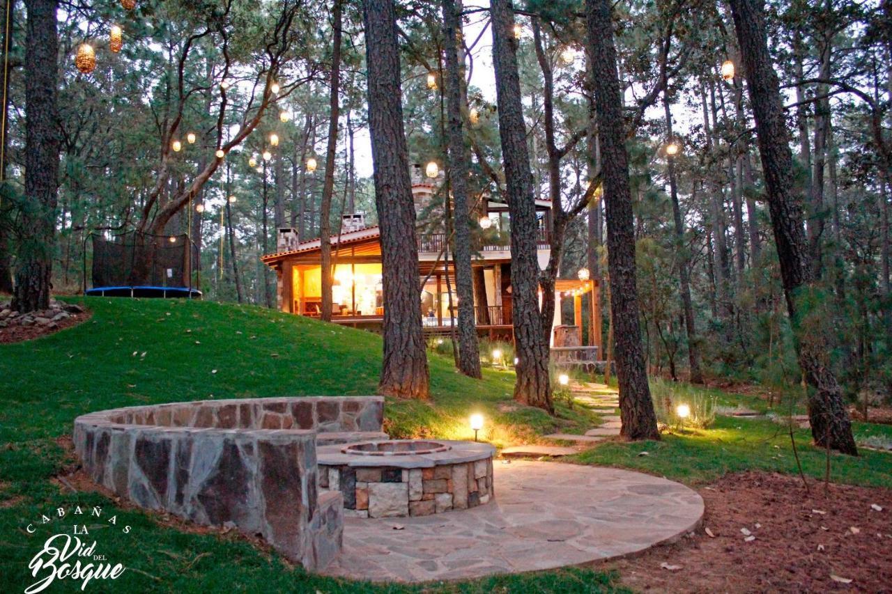Cabanas La Vid Del Bosque Hotel Tapalpa Exterior foto
