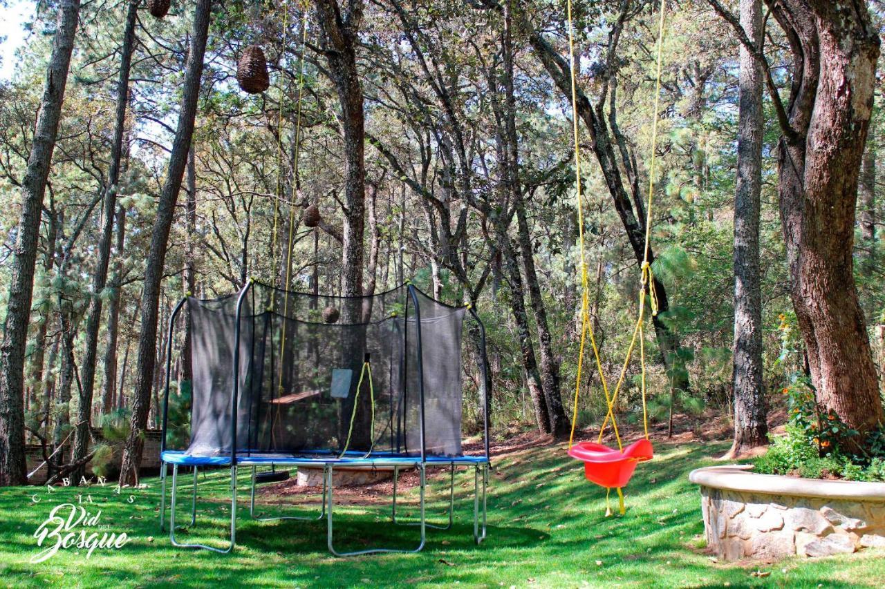 Cabanas La Vid Del Bosque Hotel Tapalpa Exterior foto