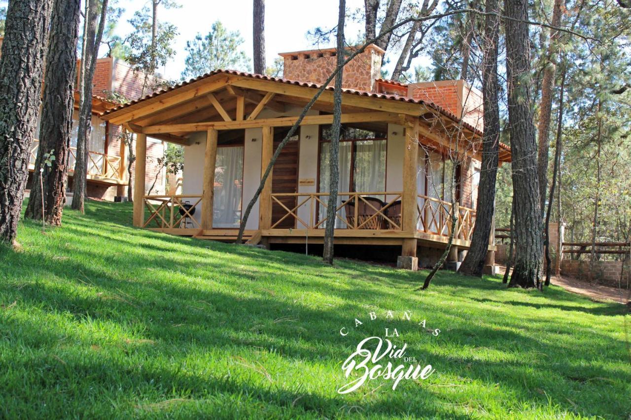 Cabanas La Vid Del Bosque Hotel Tapalpa Exterior foto