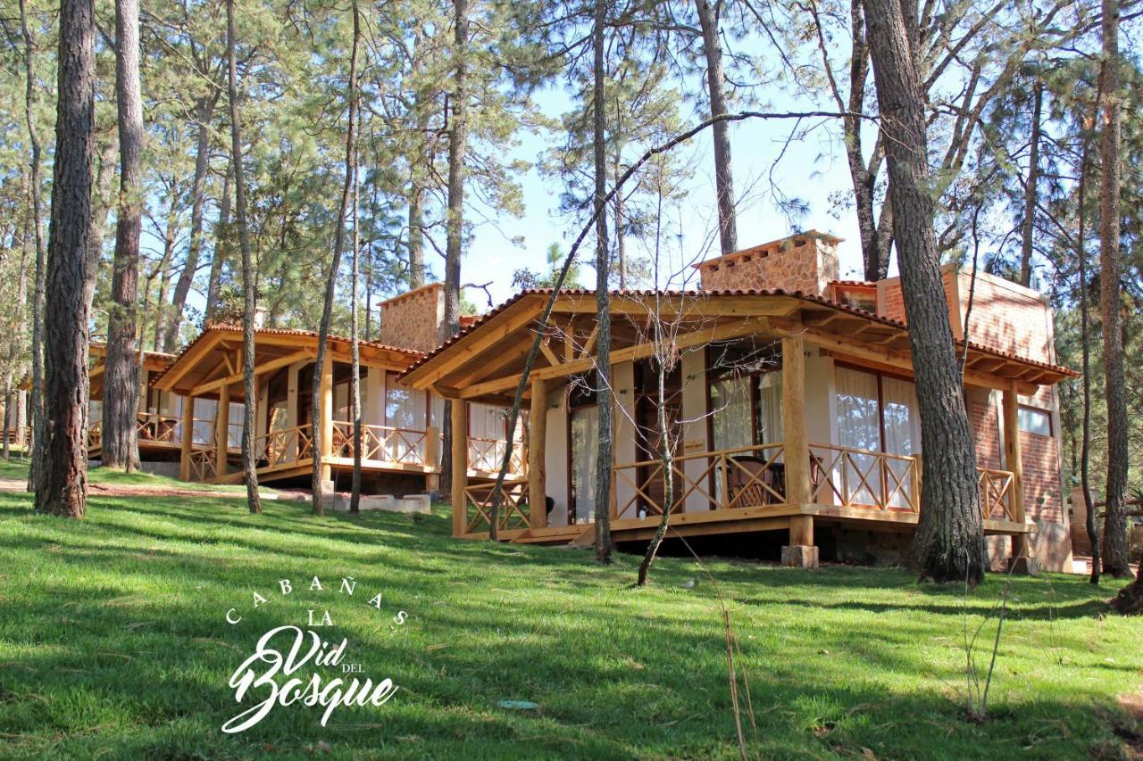 Cabanas La Vid Del Bosque Hotel Tapalpa Exterior foto