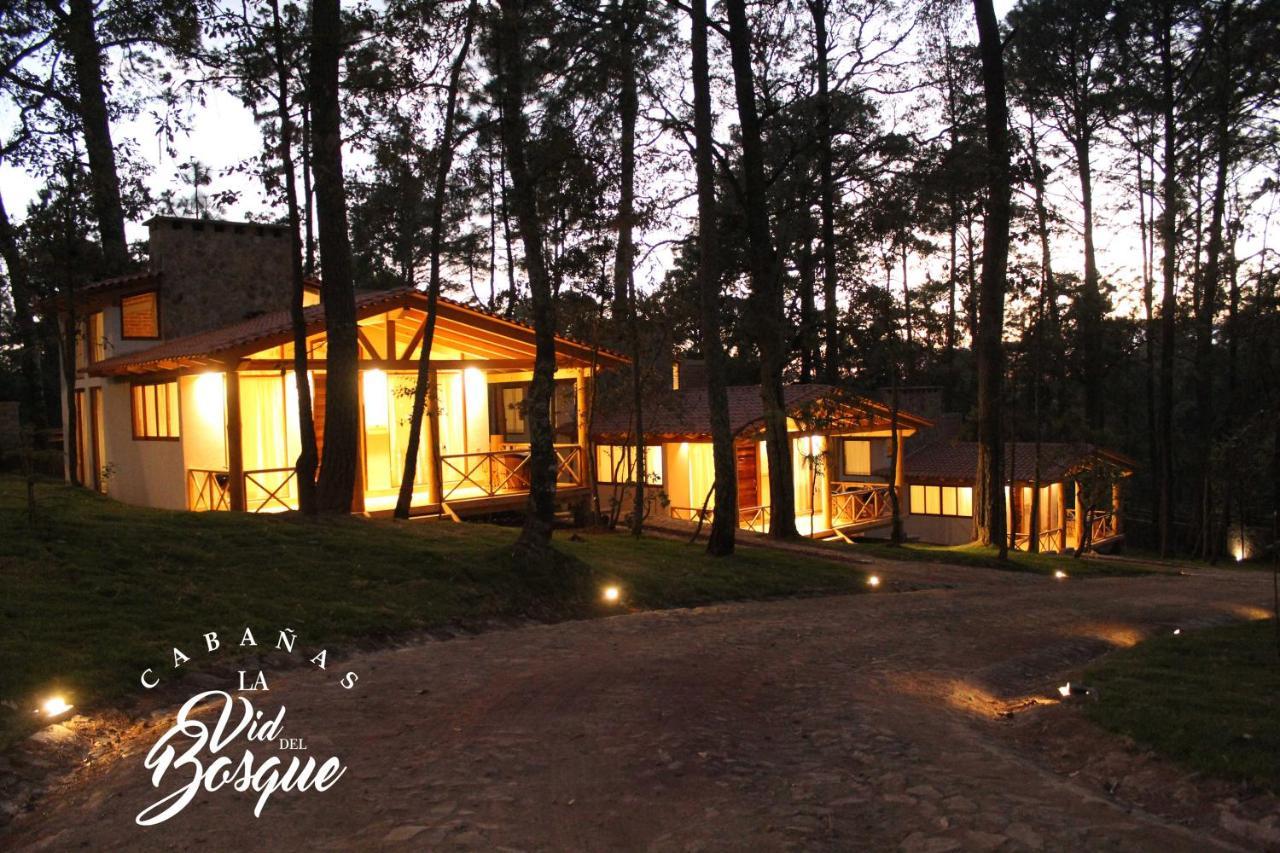 Cabanas La Vid Del Bosque Hotel Tapalpa Exterior foto