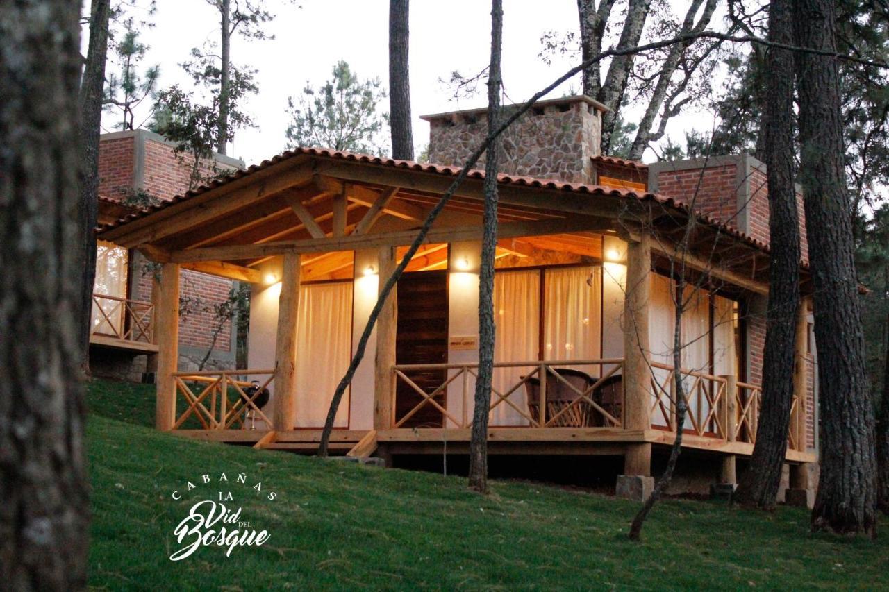 Cabanas La Vid Del Bosque Hotel Tapalpa Exterior foto